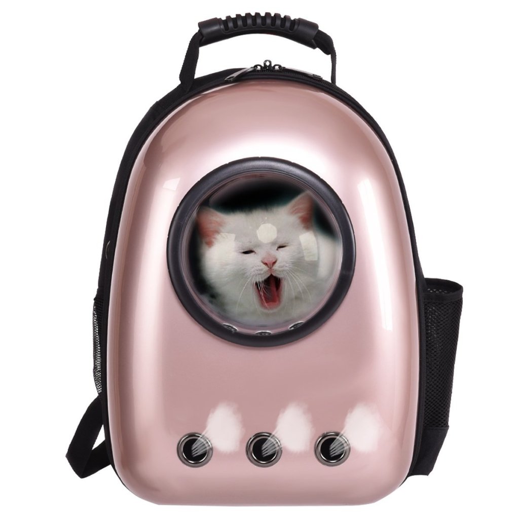 Astronaut pet carrier White Elephant Gifts